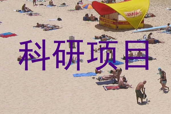 科研项目