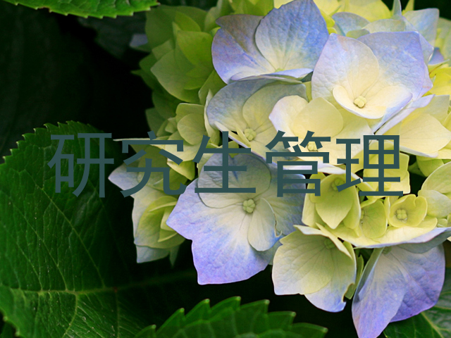 研究生管理