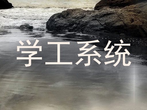 学工系统