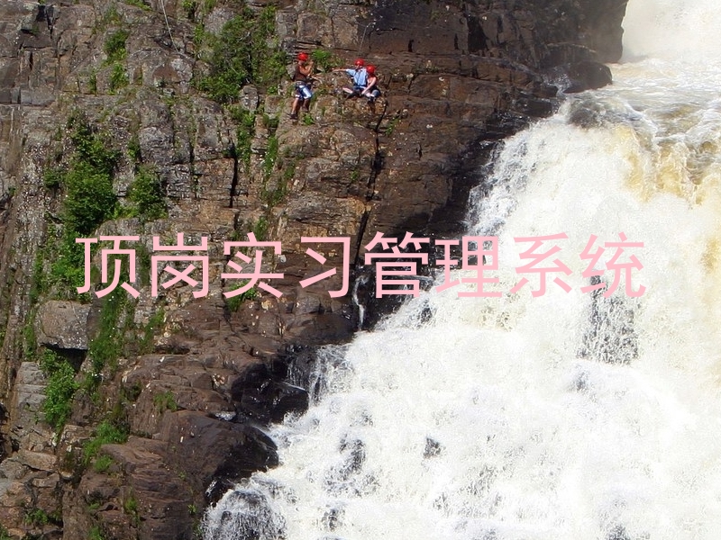 顶岗实习管理系统