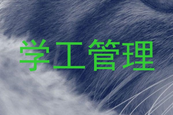 学工管理