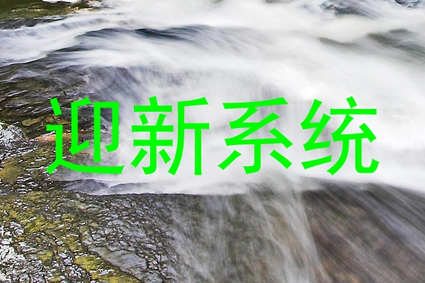 迎新系统