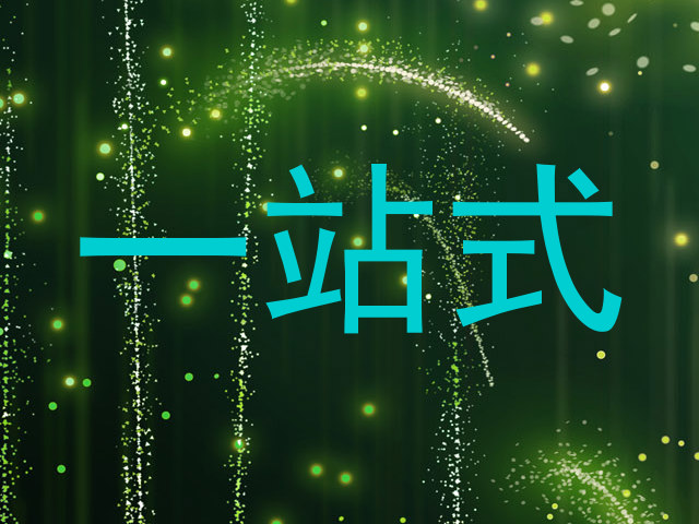 一站式