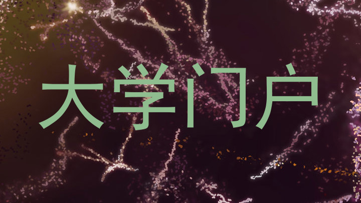 大学门户