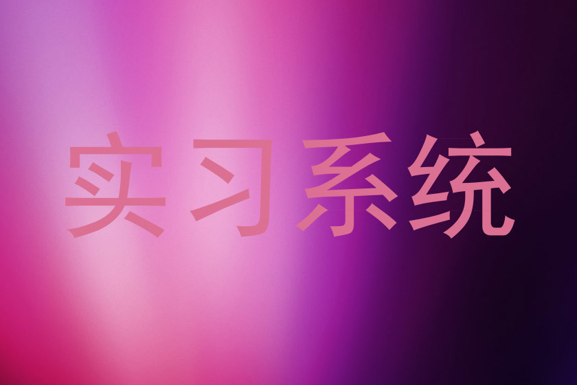 实习系统