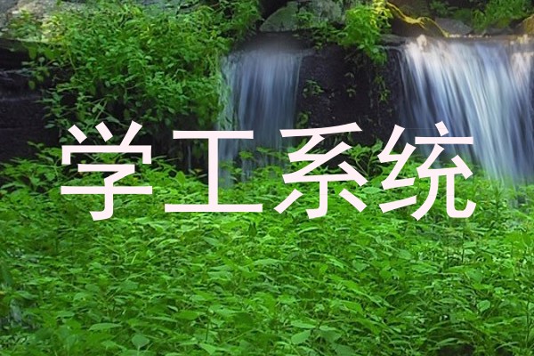 学工系统