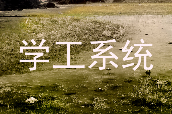 学工系统