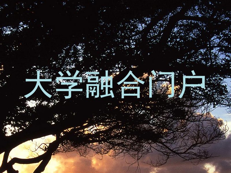 大学融合门户