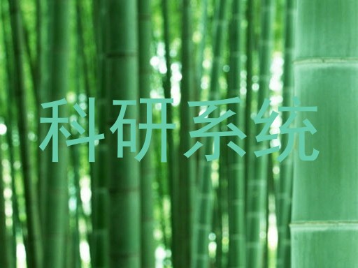 科研系统