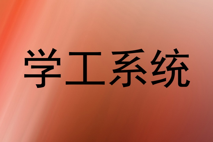 学工系统