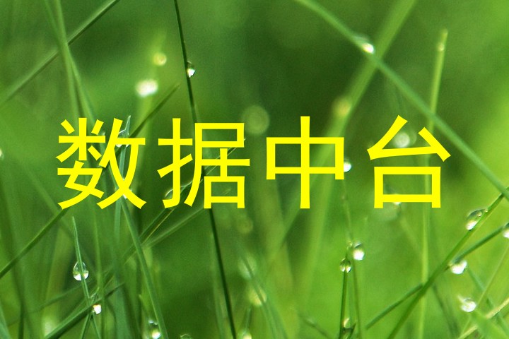 数据中台