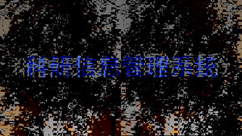 科研信息管理系统