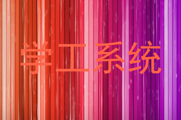 学工系统