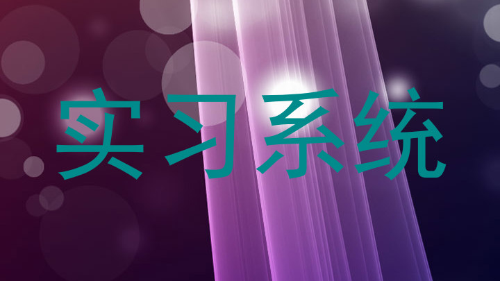 实习系统