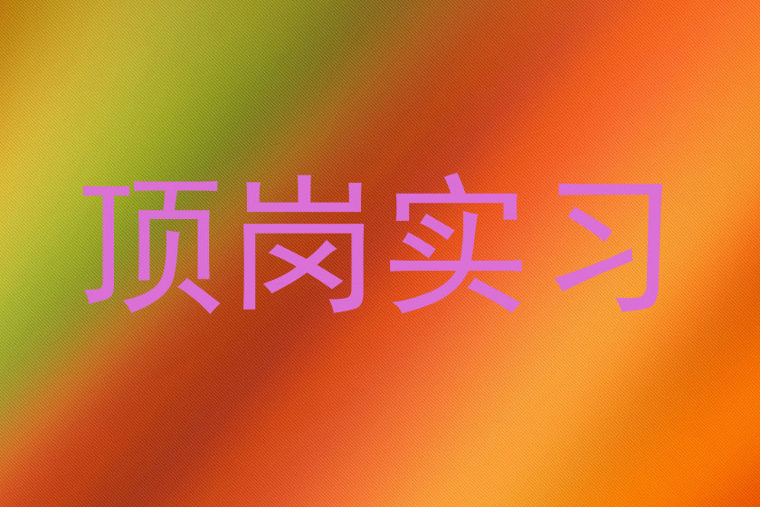 顶岗实习