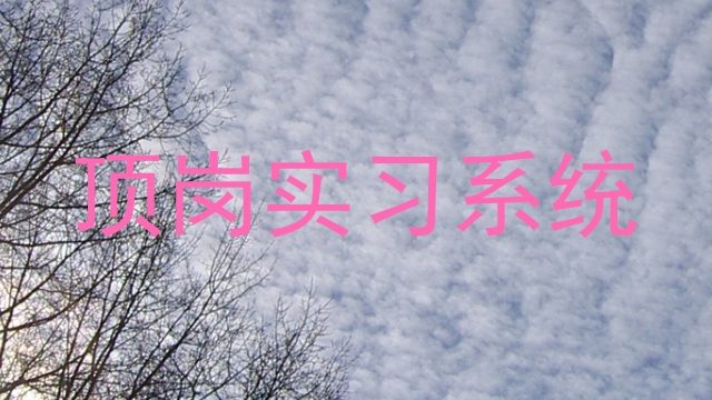 顶岗实习系统