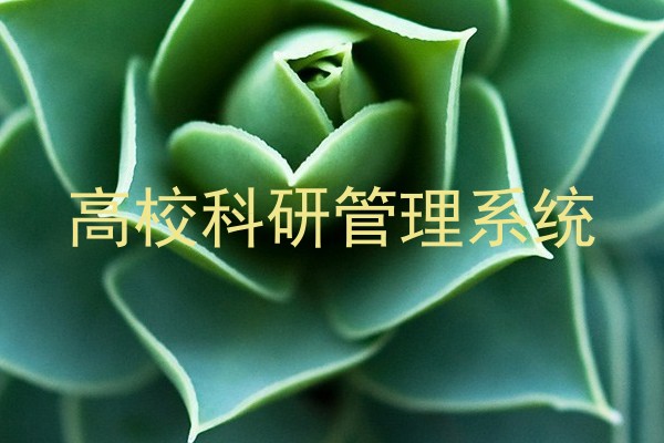 高校科研管理系统