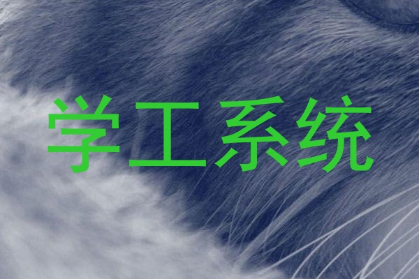 学工系统