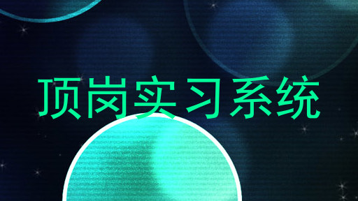 顶岗实习系统