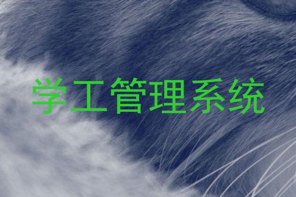 学工管理系统
