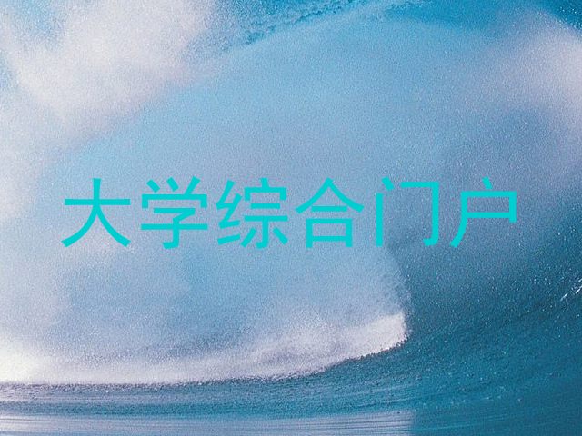 大学综合门户