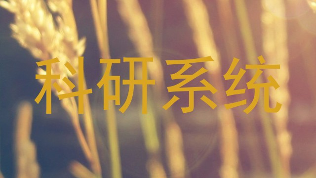 科研系统