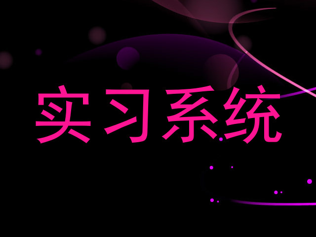 实习系统