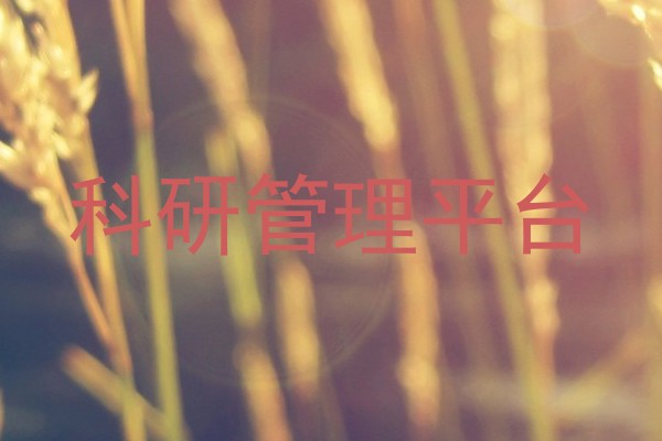 科研管理平台