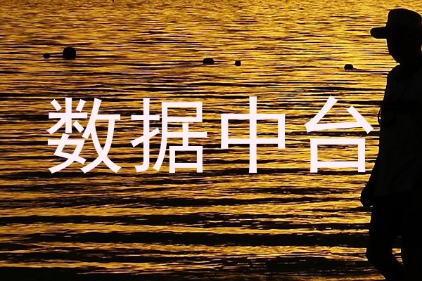 数据中台