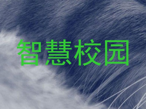 智慧校园