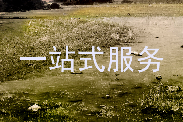 一站式服务
