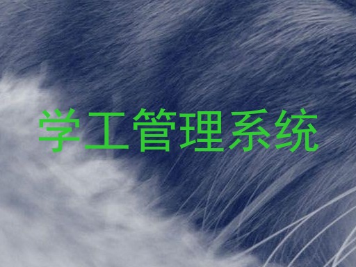 学工管理系统