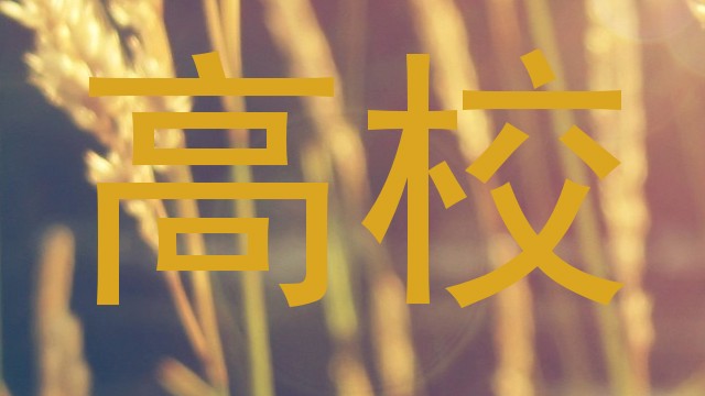 高校