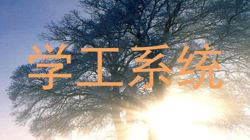 学工系统