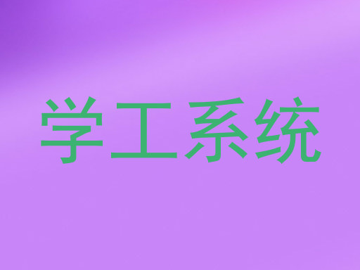 学工系统
