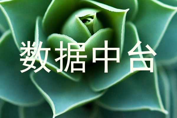 数据中台