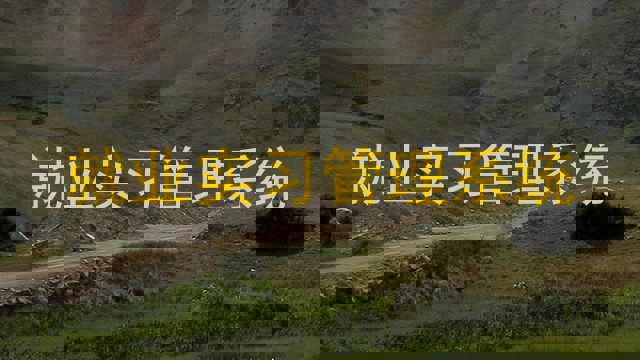 就业实习管理系统