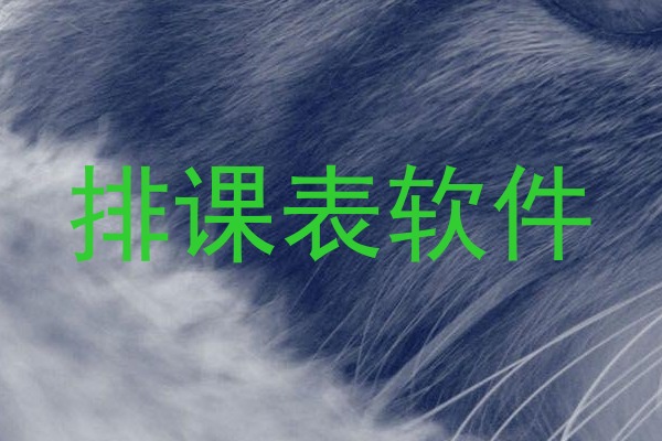 排课表软件