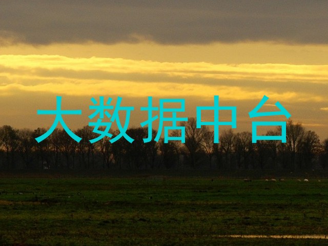 大数据中台