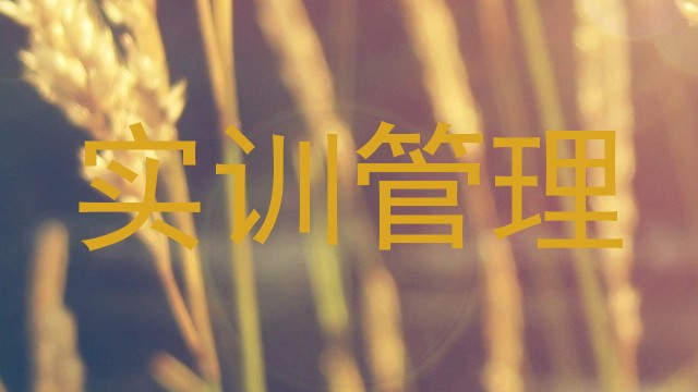 实训管理