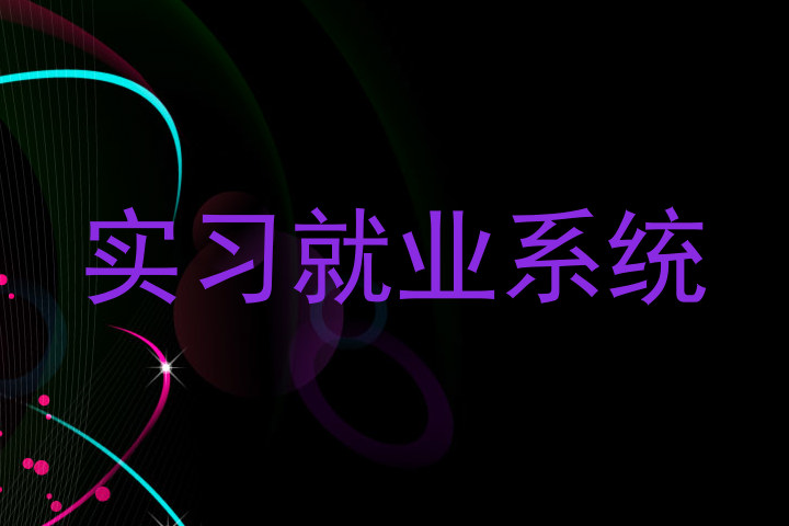 实习就业系统