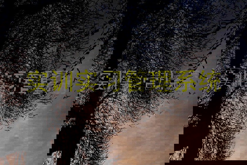 实训实习管理系统