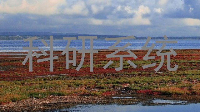 科研系统