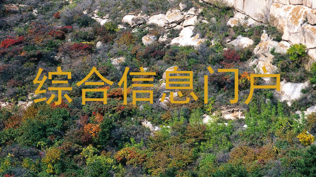 综合信息门户
