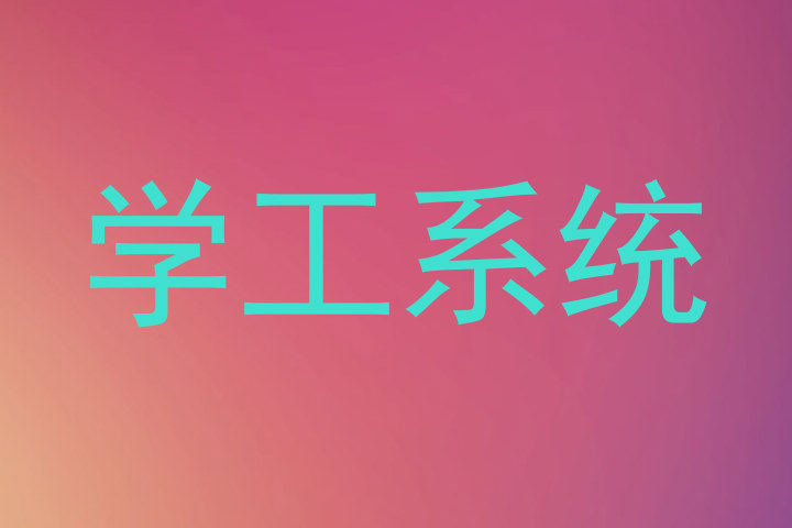 学工系统