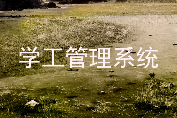 学工管理系统