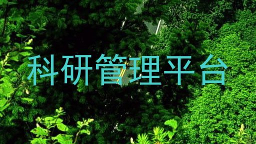 科研管理平台