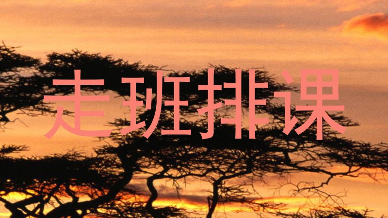 走班排课