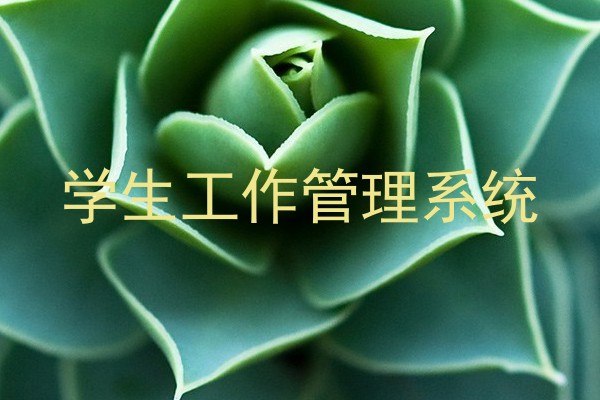学生工作管理系统