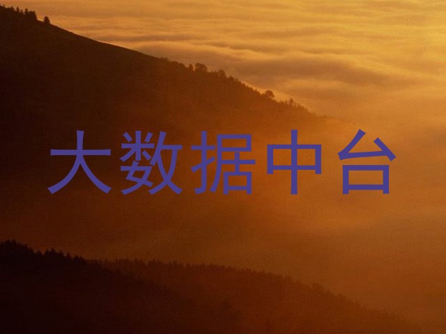 大数据中台